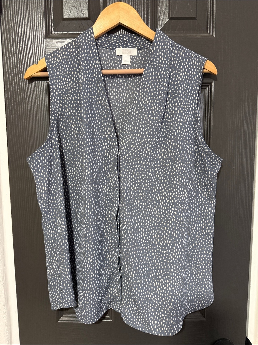 Sleeveless V-Neck Dot-Print Blouse - Blue